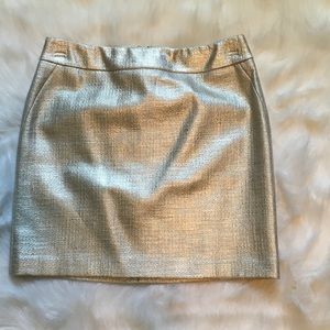 Silver Metallic Skirt